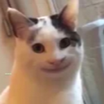 melw1