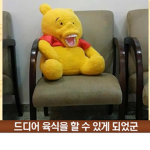 내 친구들 로벅쯔 줄끄야!