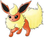 The Flareon Fan Club!
