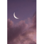!MOONLIGHT$!