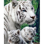tigergate 34500