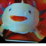 Axolotls rule the wold