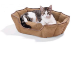 The Cat Club™