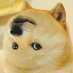 Upsidedown Doge