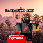 xXJay2LitXx's Gang