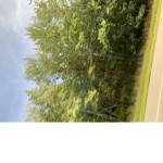 Cheap stuff from: fortniterules972