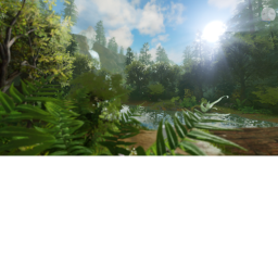 The Creepy Forest