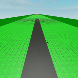 the path