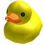 The DUCK Gang :)