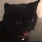 !k00l