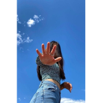 Sunflower_xxxy