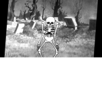 Skeleton Overload