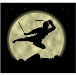 National Night Ninjas