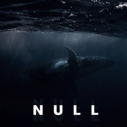 NULL [PSYCHOLOGICAL-HORROR]