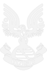 UnitedᅠNations Space Command