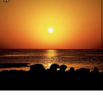 Sunset safari for ever