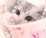 If you love cats or kittens join this group :)