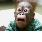 Monke_group join for monkey