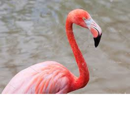 GOD OBBY! (UPDATE A FLAMINGO PART HAS BEEN ADDED!!