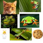 Cat Frog Cookie Angels
