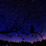 The Night Gazers