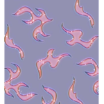 Aesthetic_clothing*