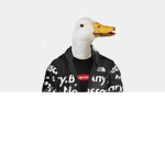 Da Geese Gang