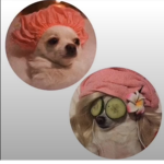 Great cool girls