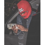 ii_Lxcasii