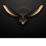RealEagle Studios