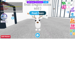 arctic reindeer (seeing offers)