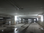 level 1 test