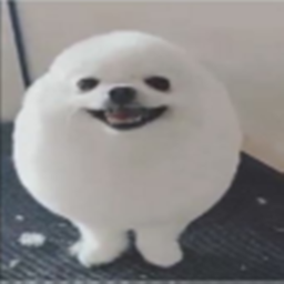 Eggdog World