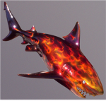 the fire sharks