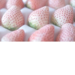 strawberries .o.