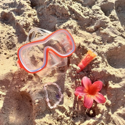 🏝️