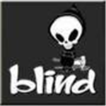 CAMP BLIND