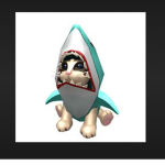 unicorn sharkcat