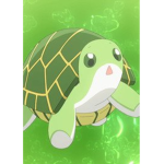 +TURTLE T SQUAD+