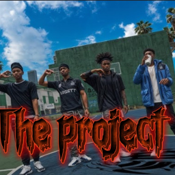 The projects