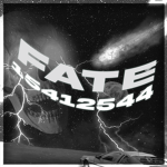 〤 Fate