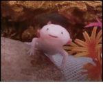 Axolotl and hamster power!!!!!!