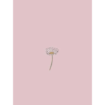 Cupidity <3