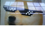 doges fans club reeeeee