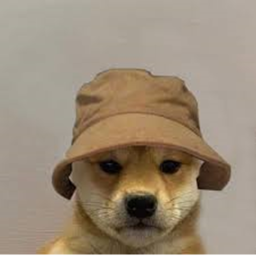 Not Joining Until Someone Donates 100k