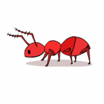 Ant Studioz