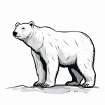 White Bear Company