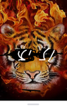 Burning tigers