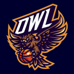 Cleveland Seekers Roblox Basketball team