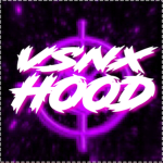 VSNX HOOD